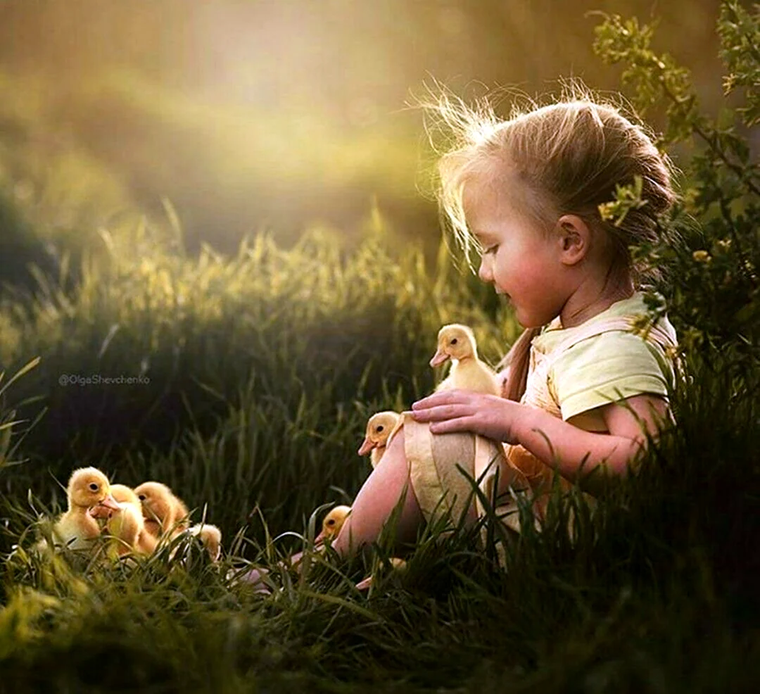 Маленькая девочка с цыплятами