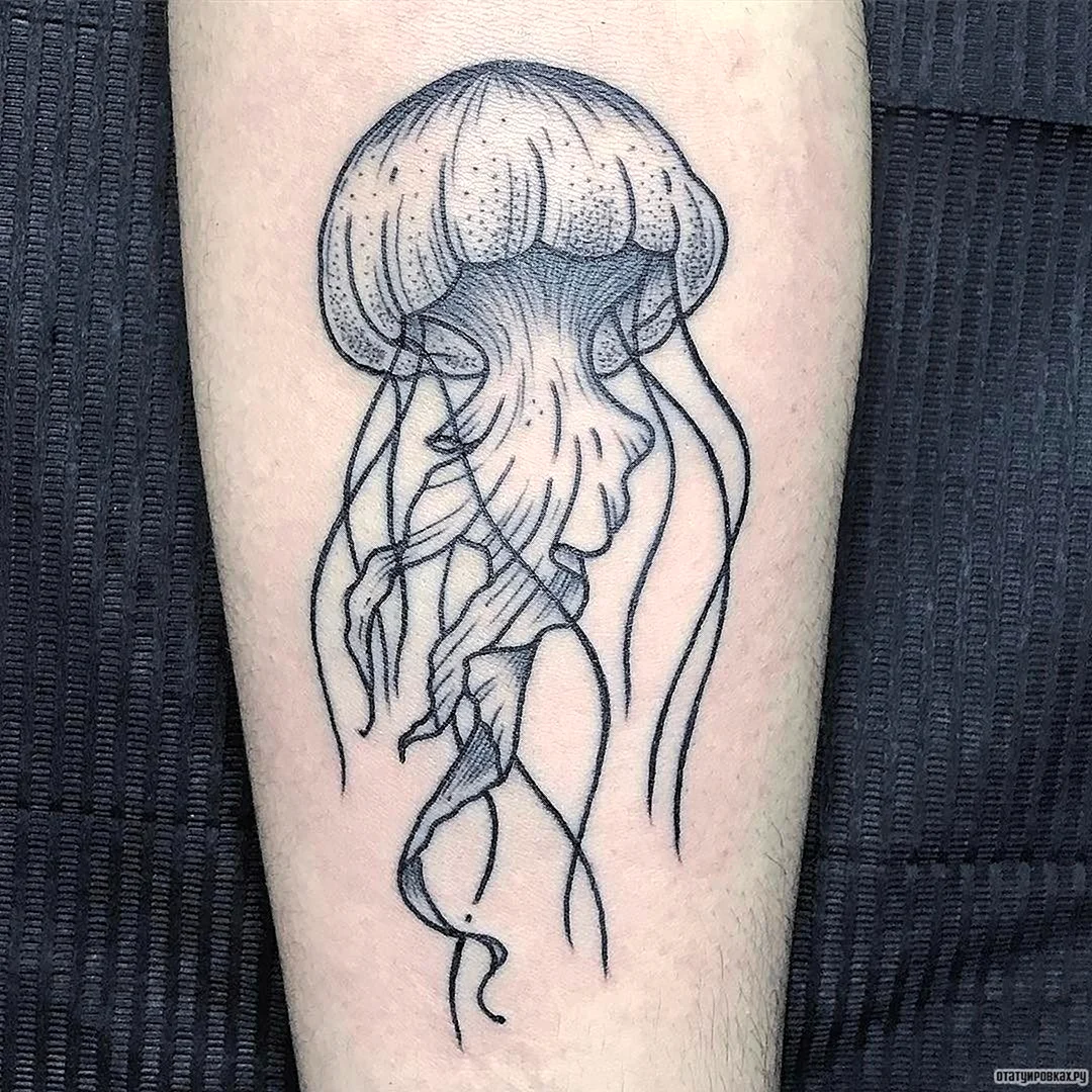 Медуза дотворк