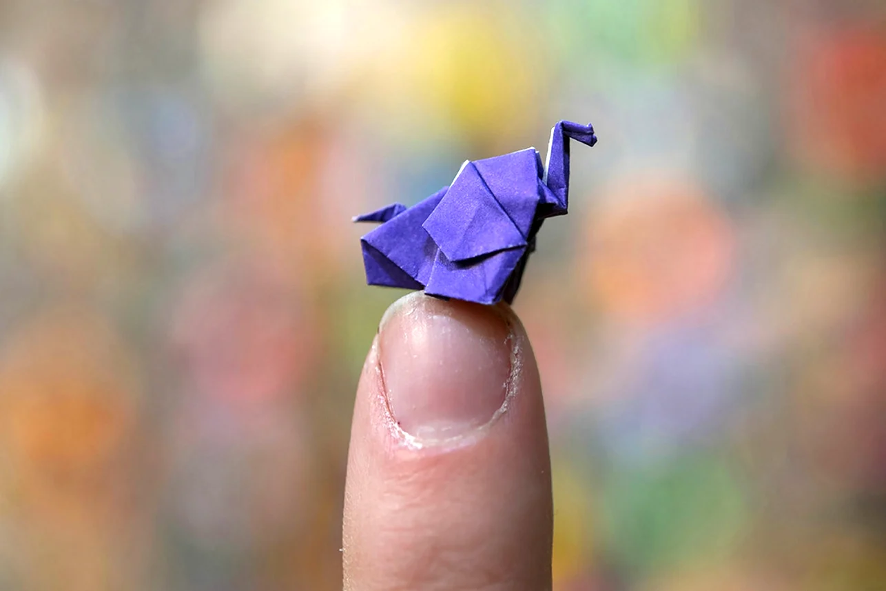 Мировой рекорд оригами
