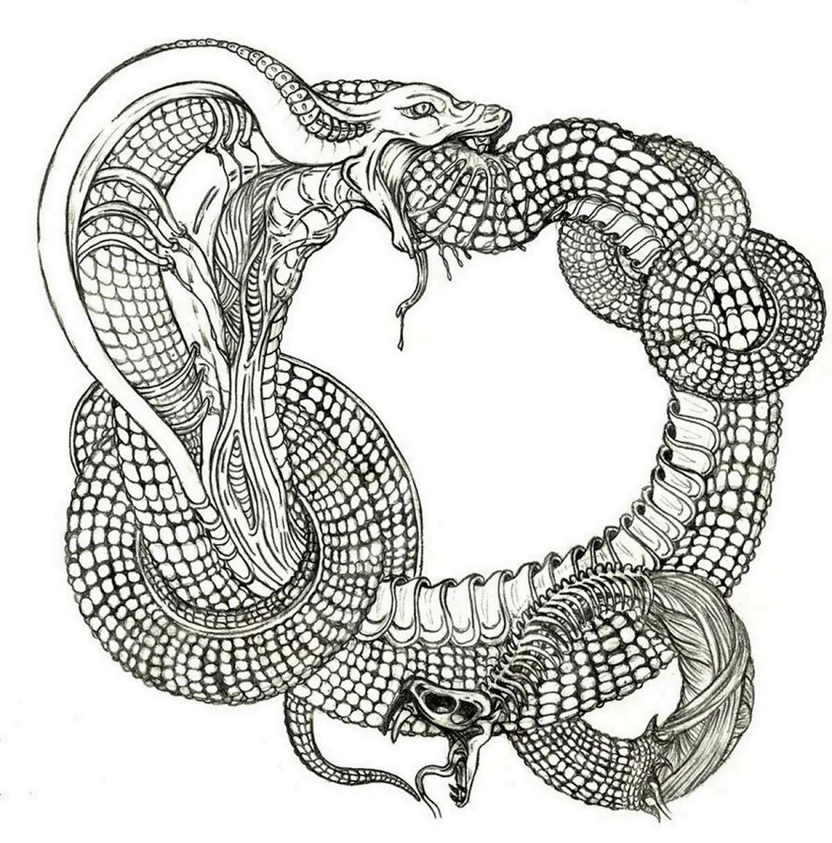 Мировой змей Уроборос