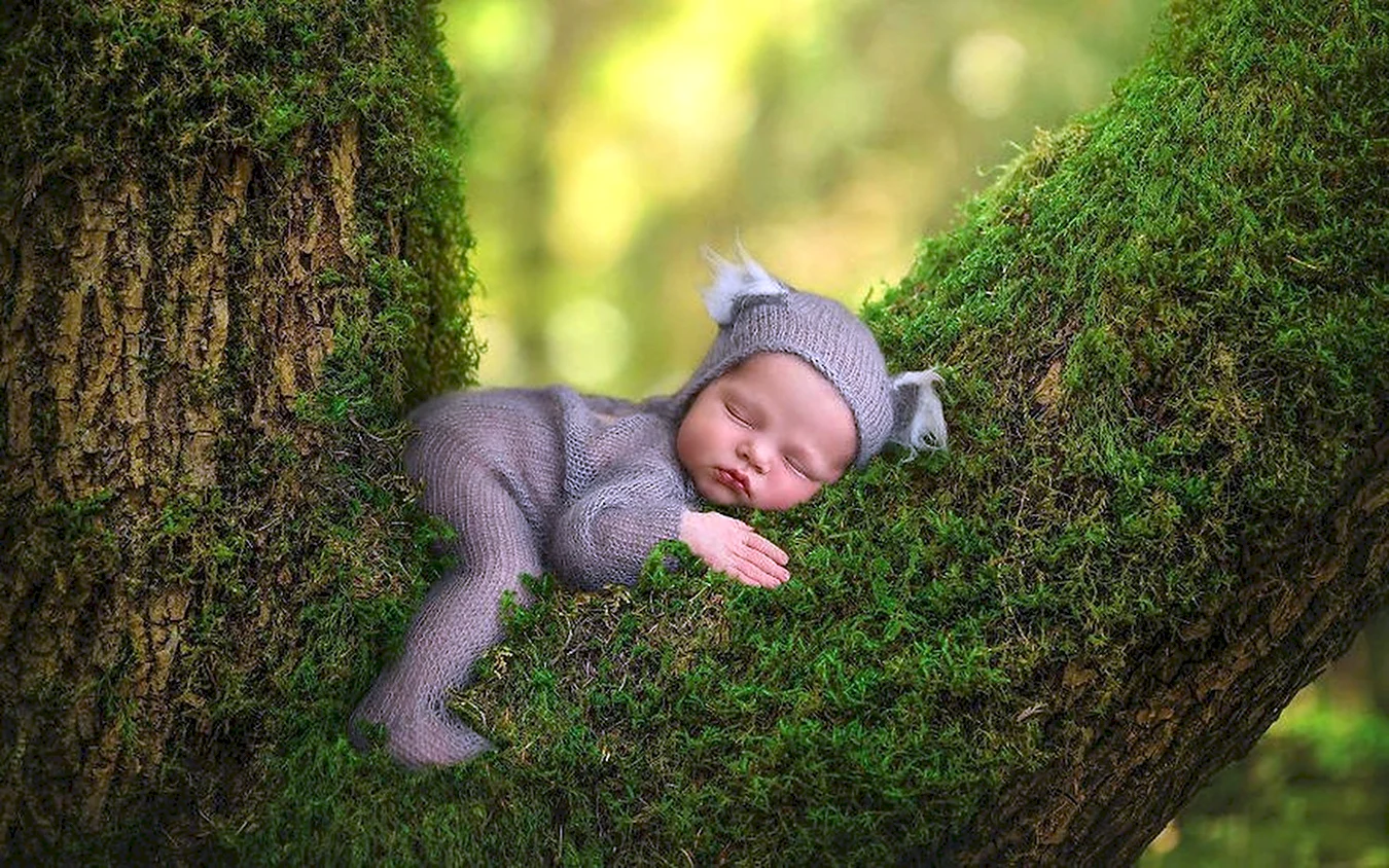 Младенец в лесу