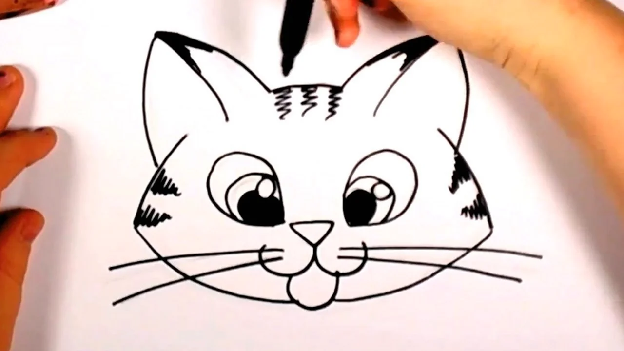 Мордочка котенка карандашом