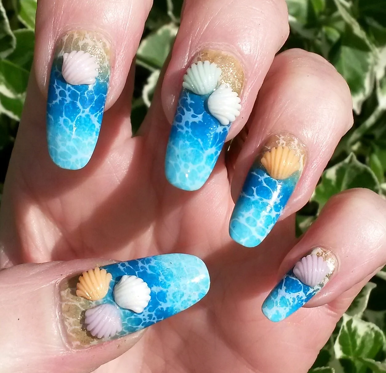 Морские ногти