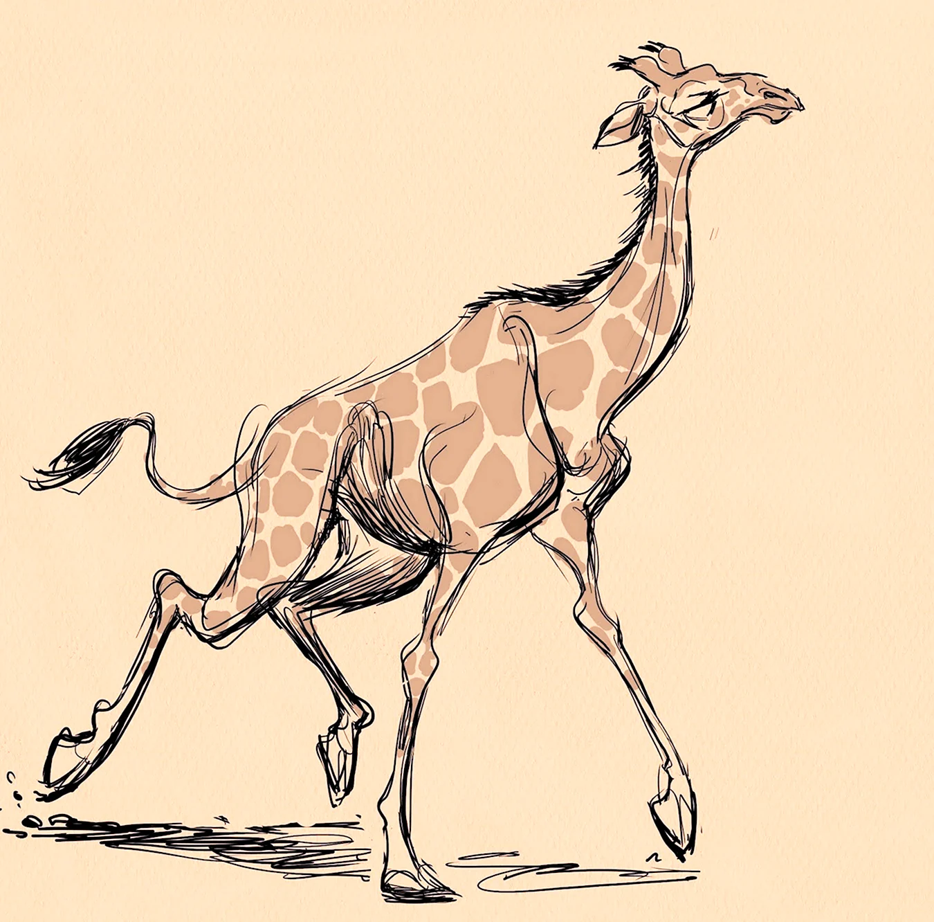 Наброски жирафа