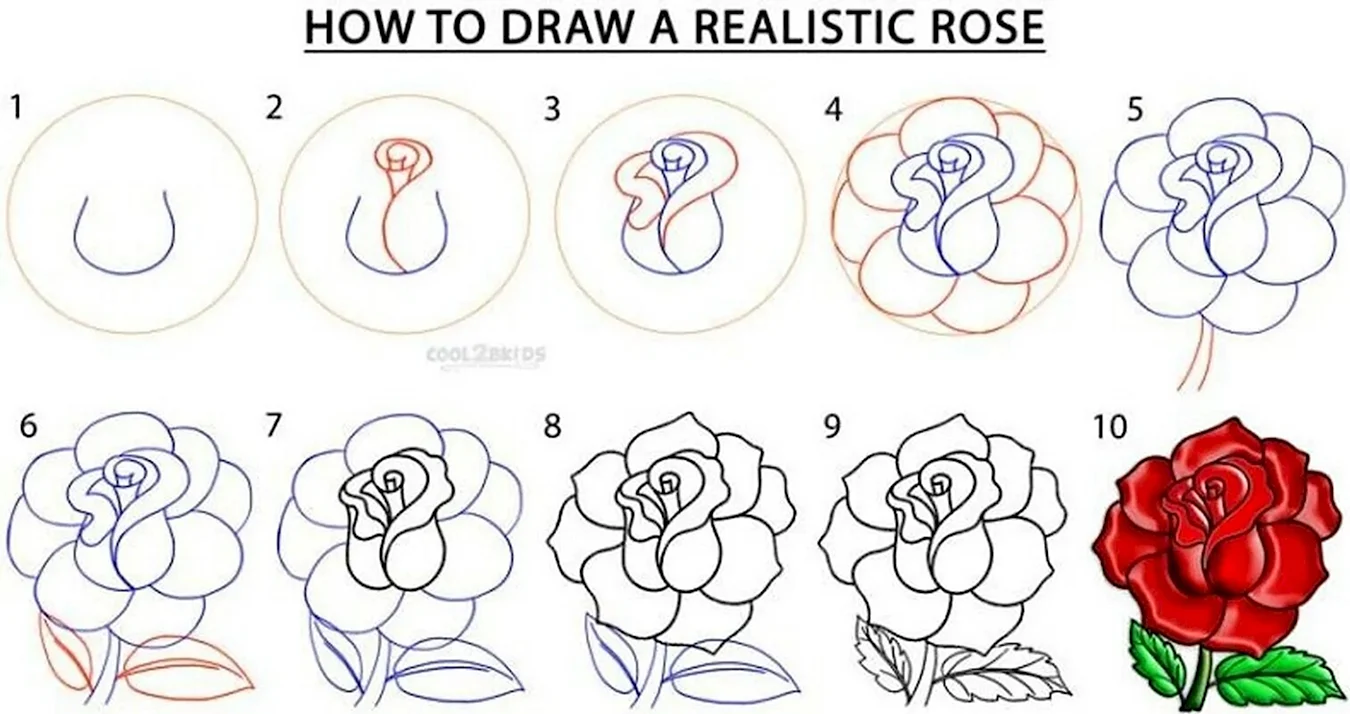 Нарисовать розу поэтапно
