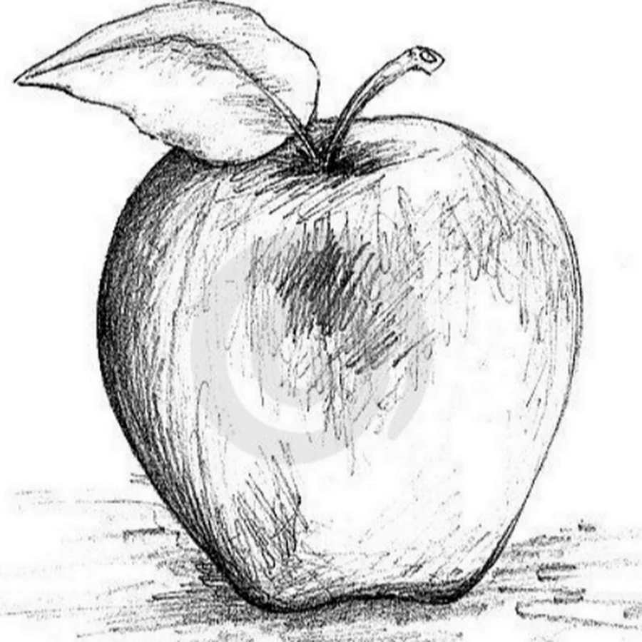 Натюрморт яблоко черно белый