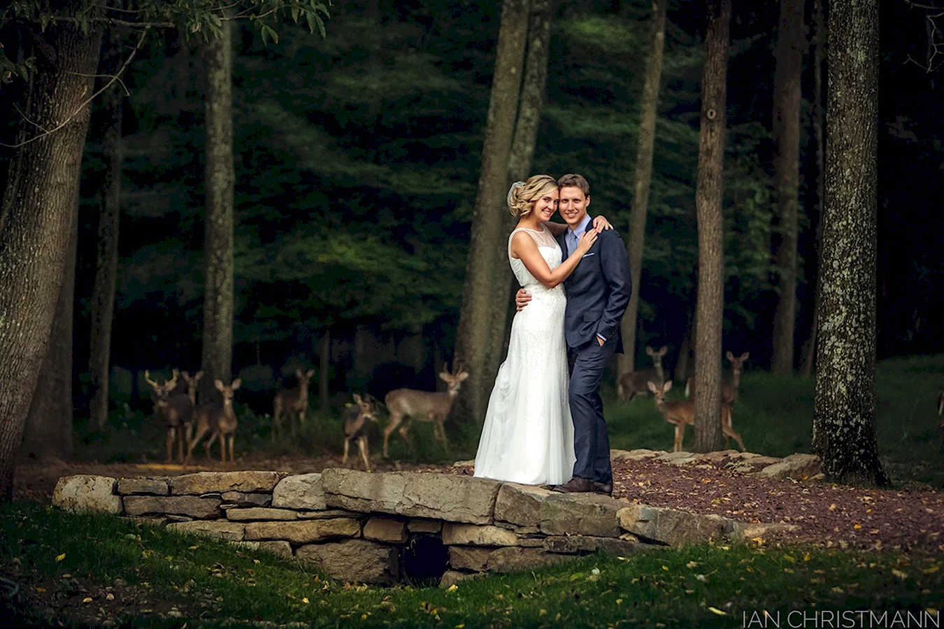 Необычная Свадебная фотосессия в лесу