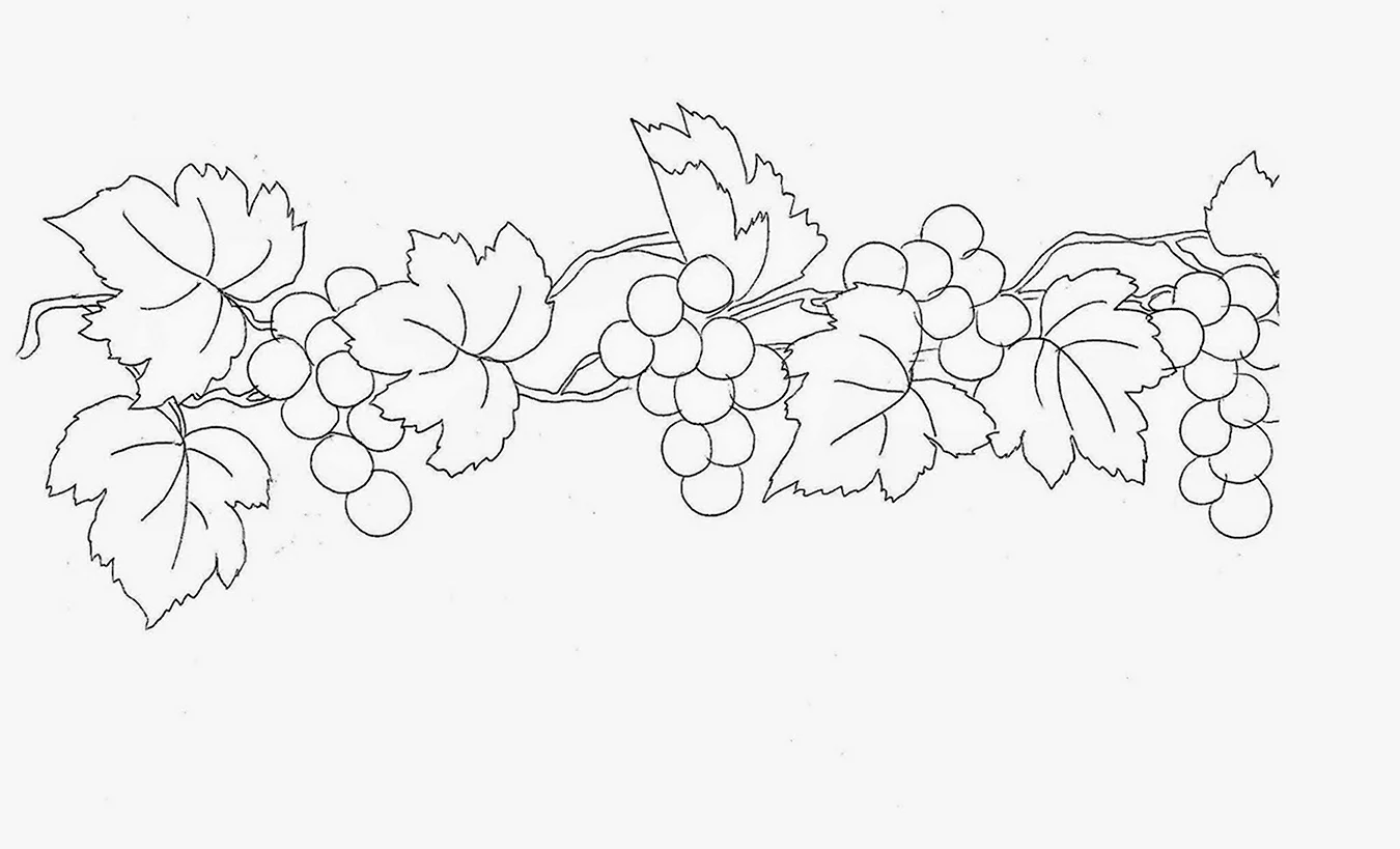 Орнамент растительный Виноградная лоза