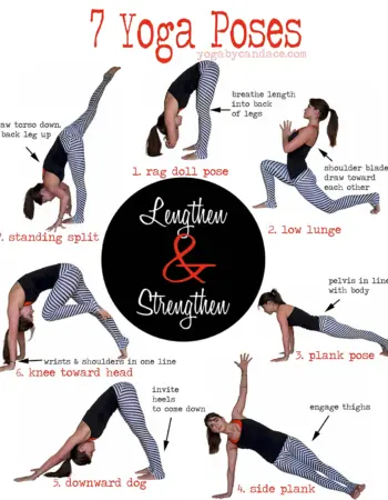 Основные асаны хатха йоги для начинающих