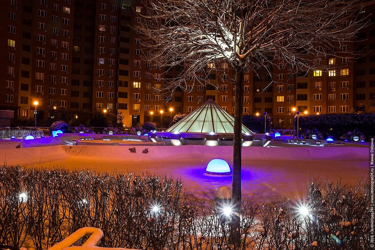 Парк Победы Зеленоград зима