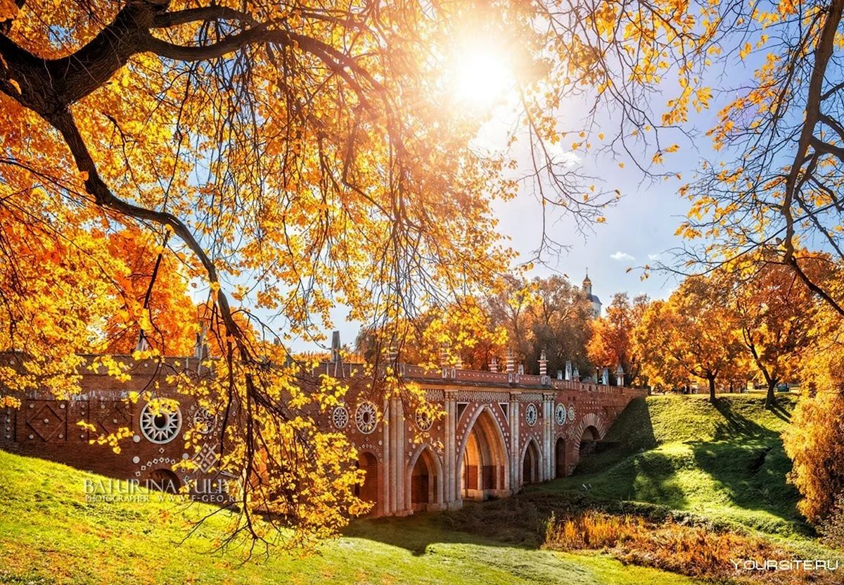 Парк Царицыно осень