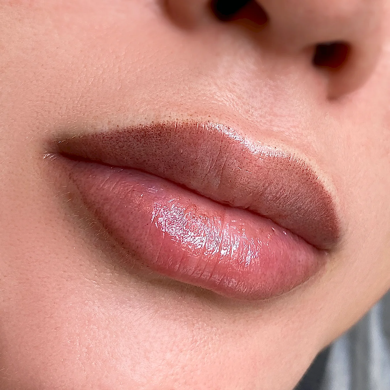 Перманентный макияж губ нюдовые оттенки