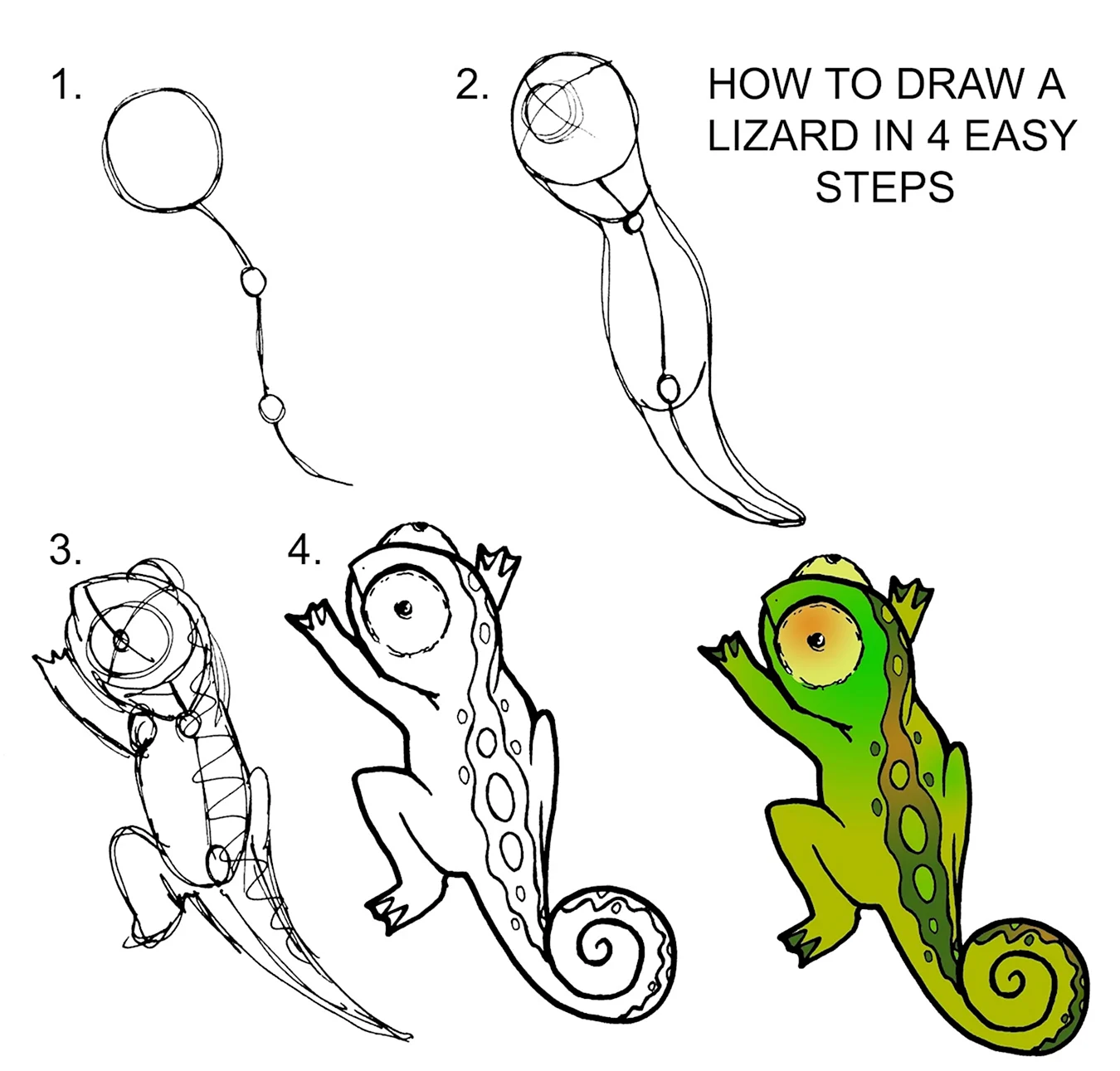 Поэтапное рисование ящерицы для детей