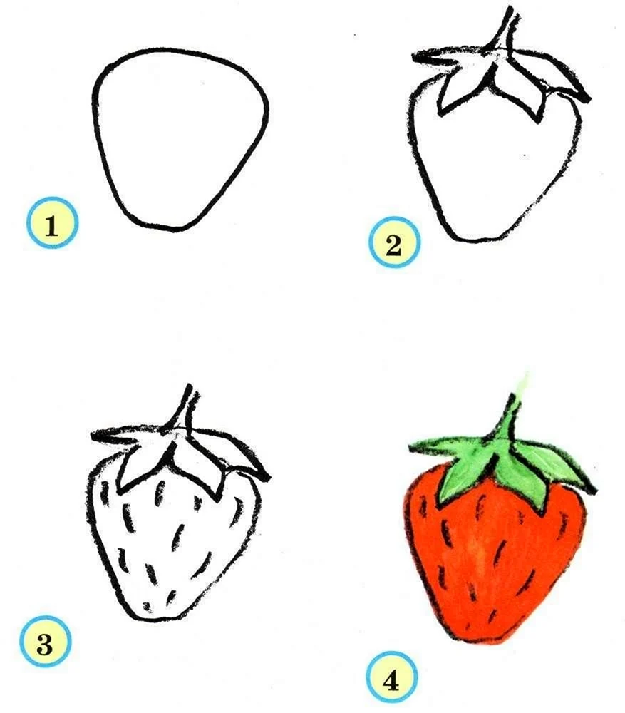 Поэтапное рисование овощей и фруктов