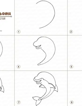Поэтапный рисунок дельфина