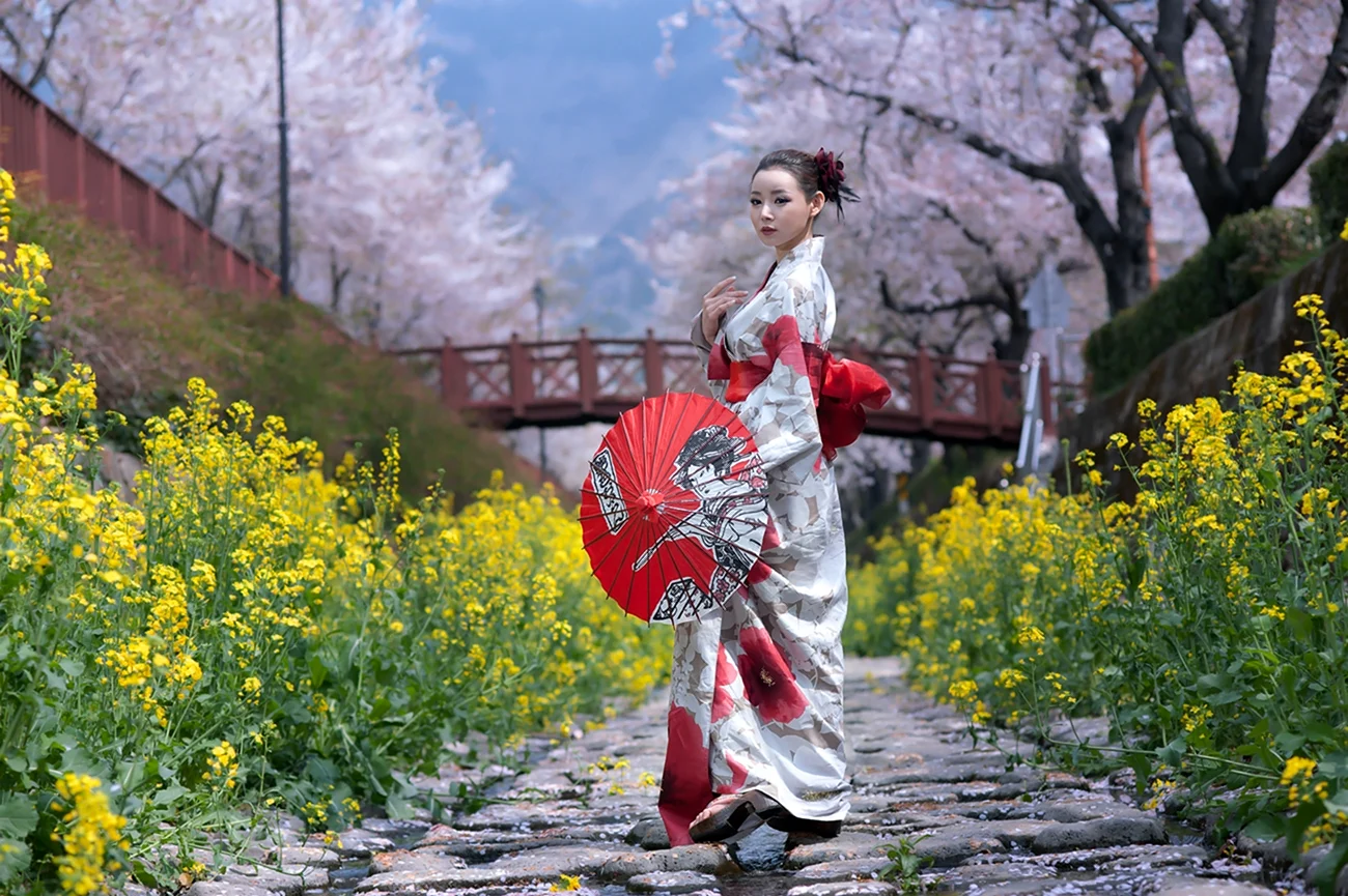 Пояс кимоно гейши