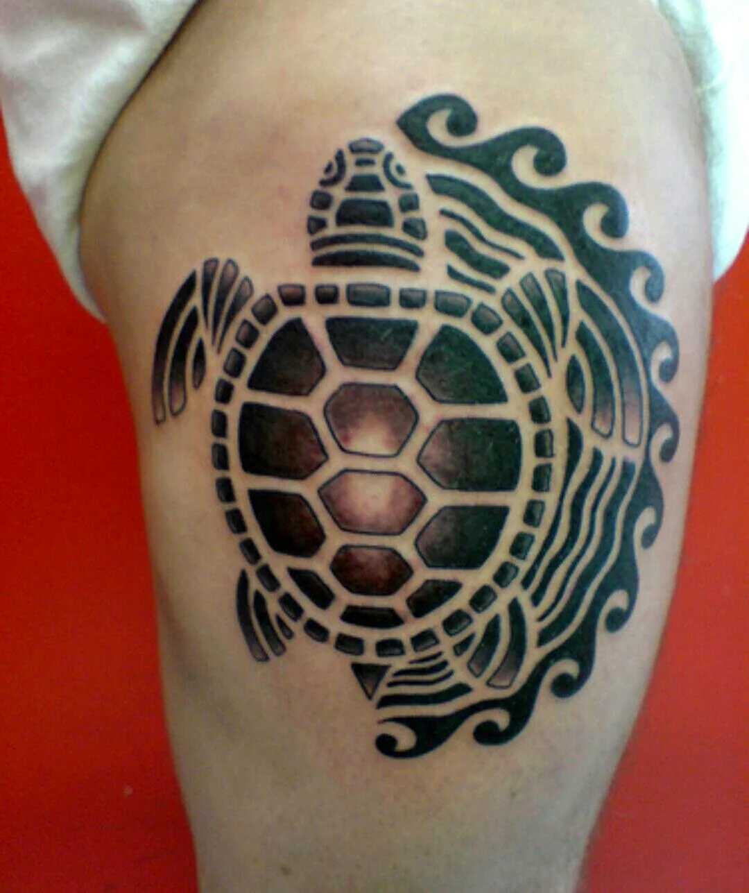 Полинезийская черепаха тату