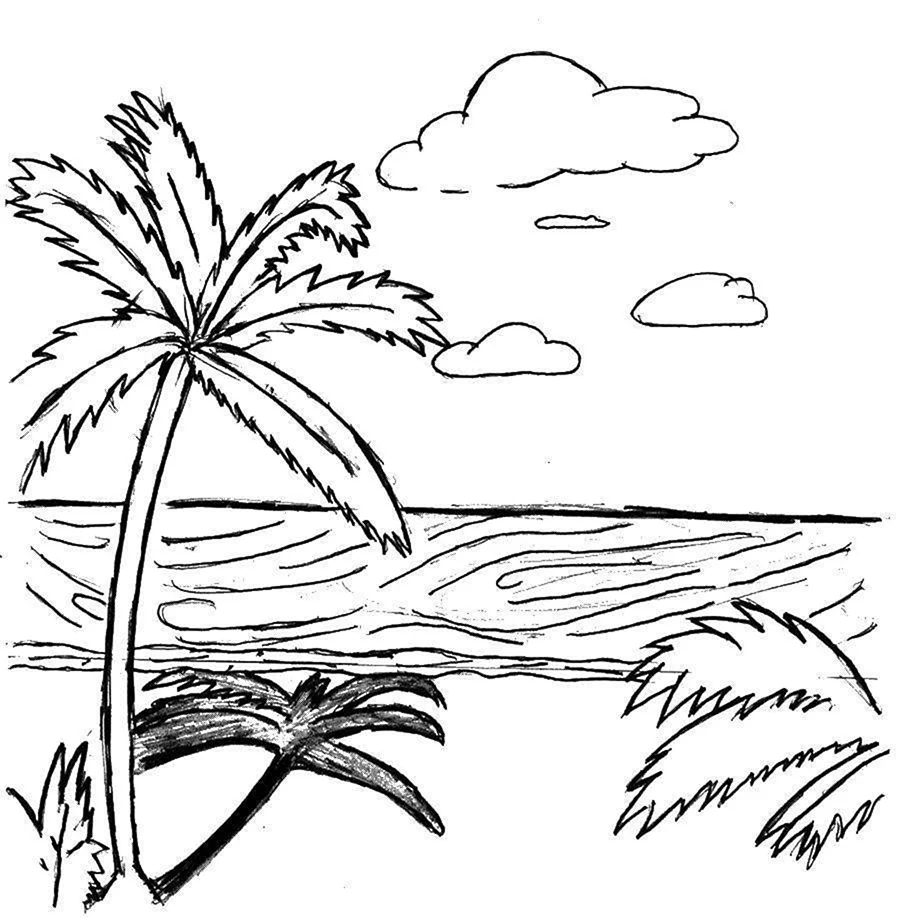 Раскраска остров с пальмой