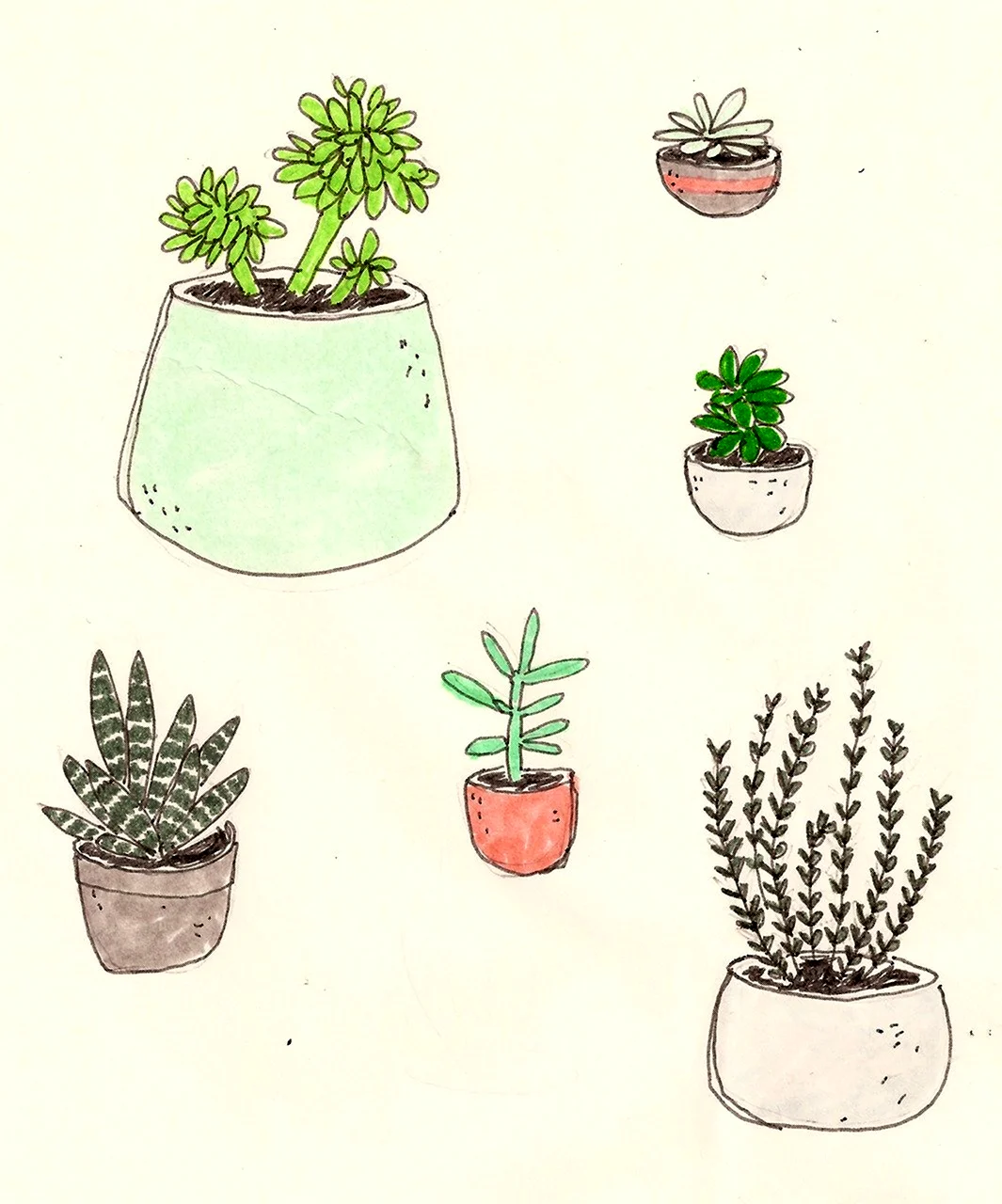 Растения для срисовки легкие