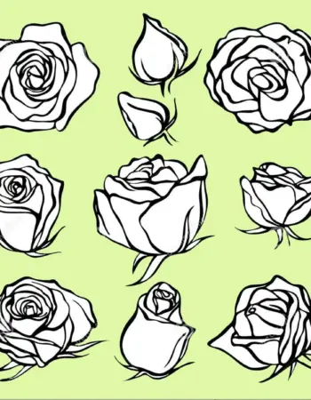 Рисунки для срисовки маленькие розы