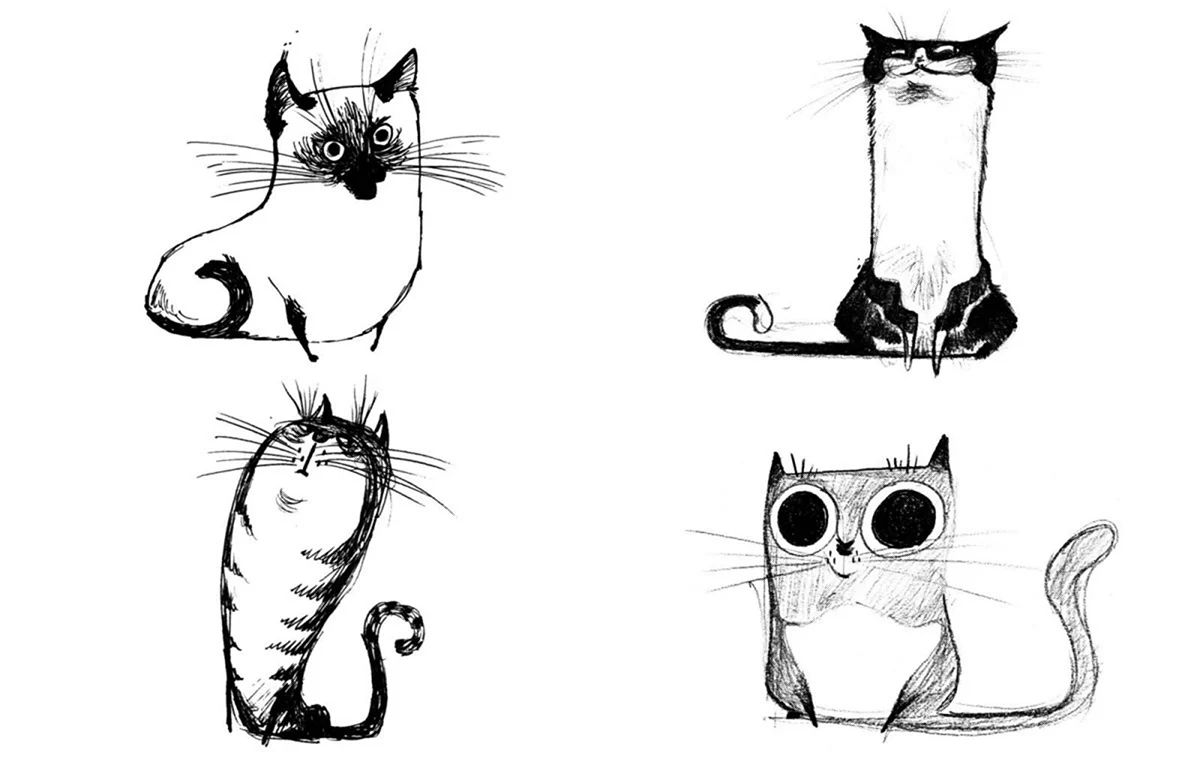 Рисунки котов смешные для срисовки