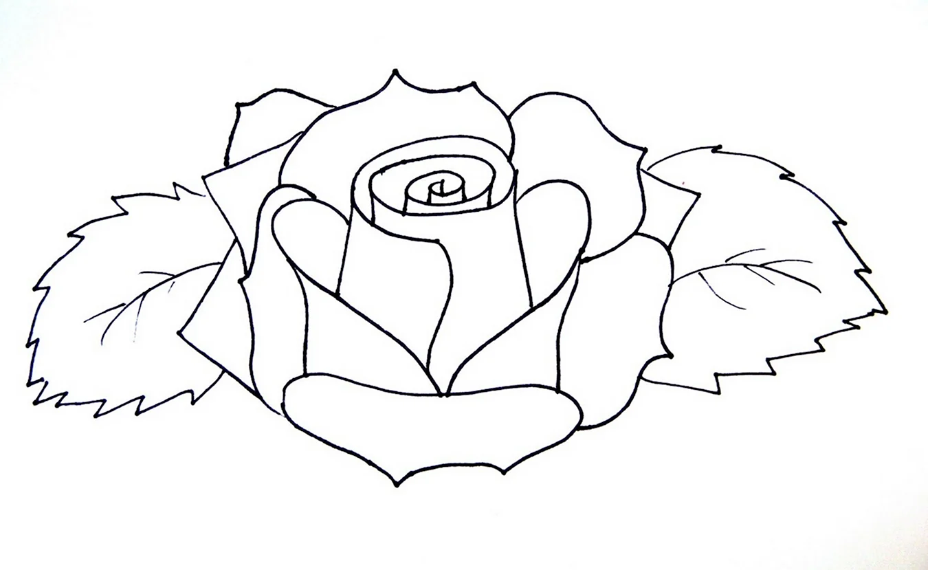Роза рисунок карандашом легко