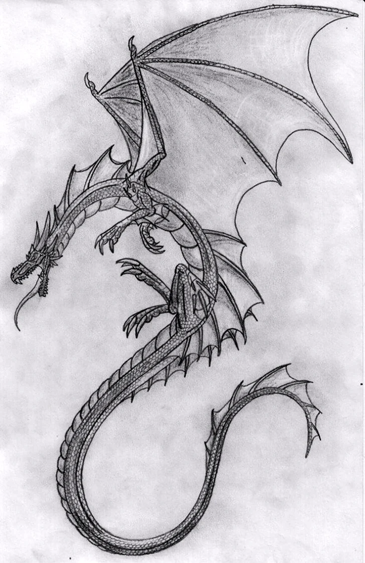 Scatha дракон