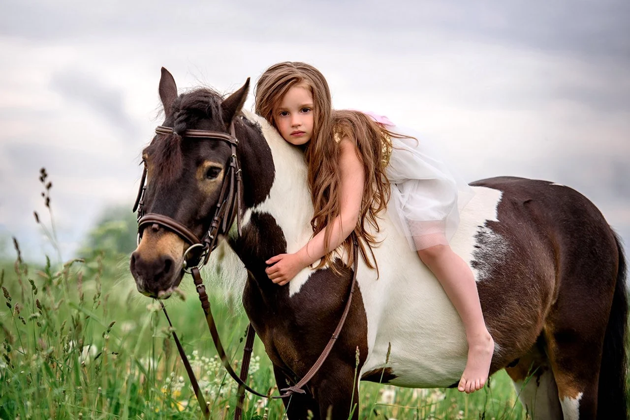 Семейная фотосессия с лошадьми