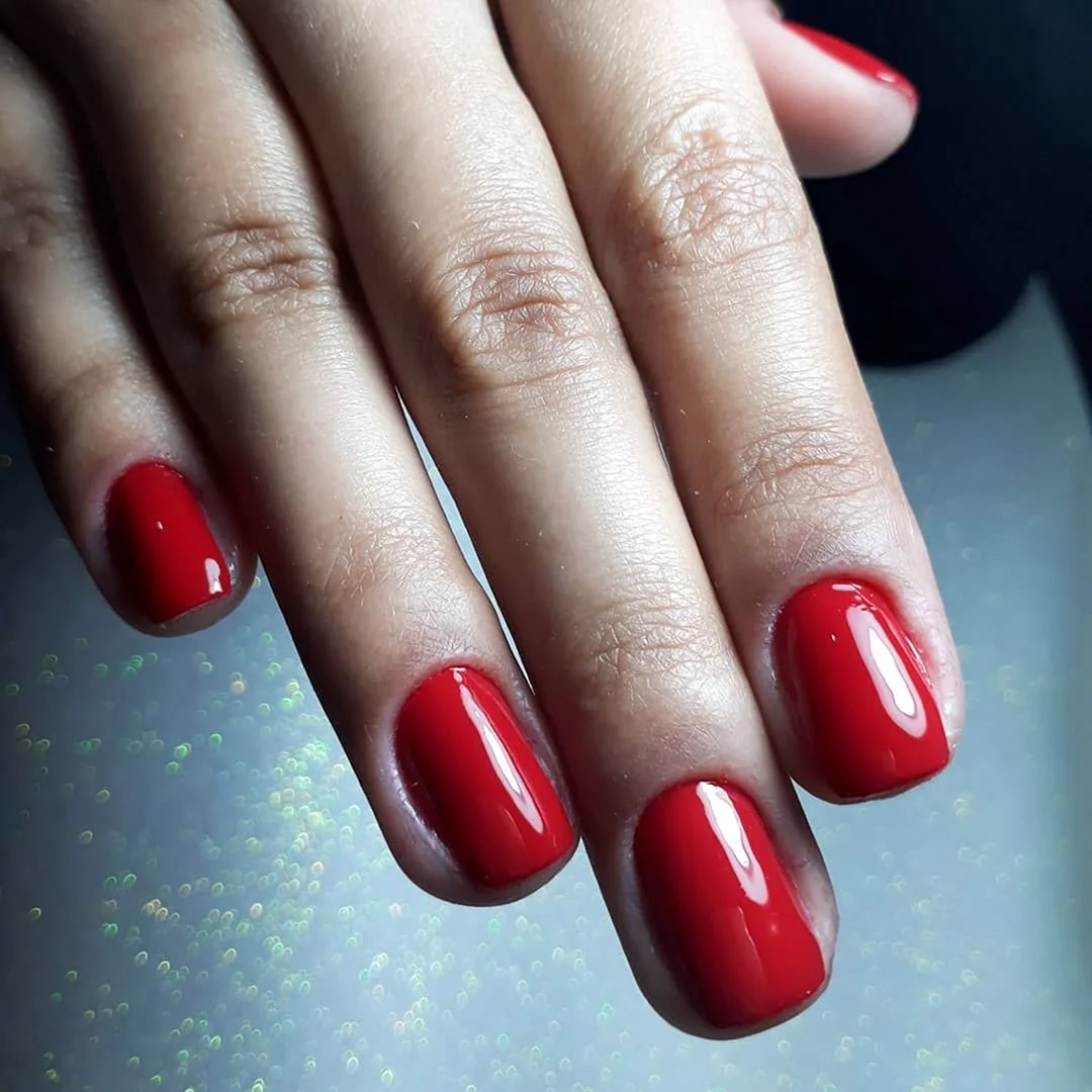Shellac 2021 Red