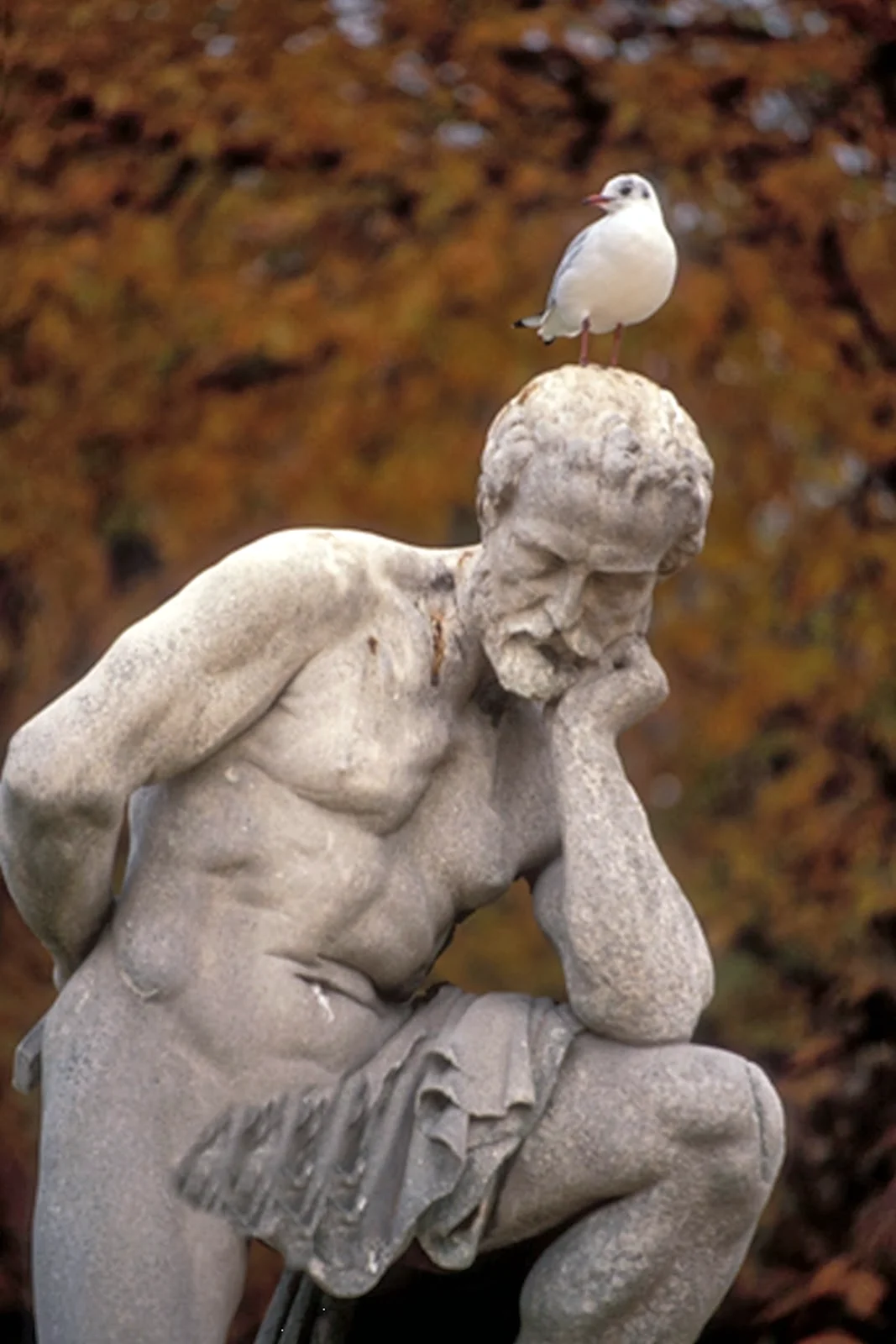 Скульптура мыслителя философа древней Греции