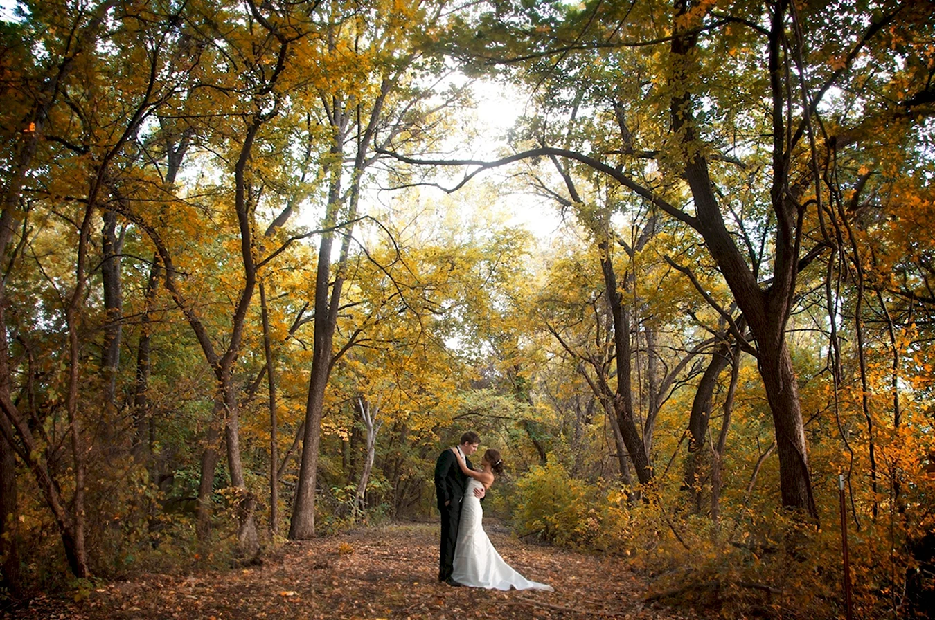 Свадебная фотосессия в осеннем лесу