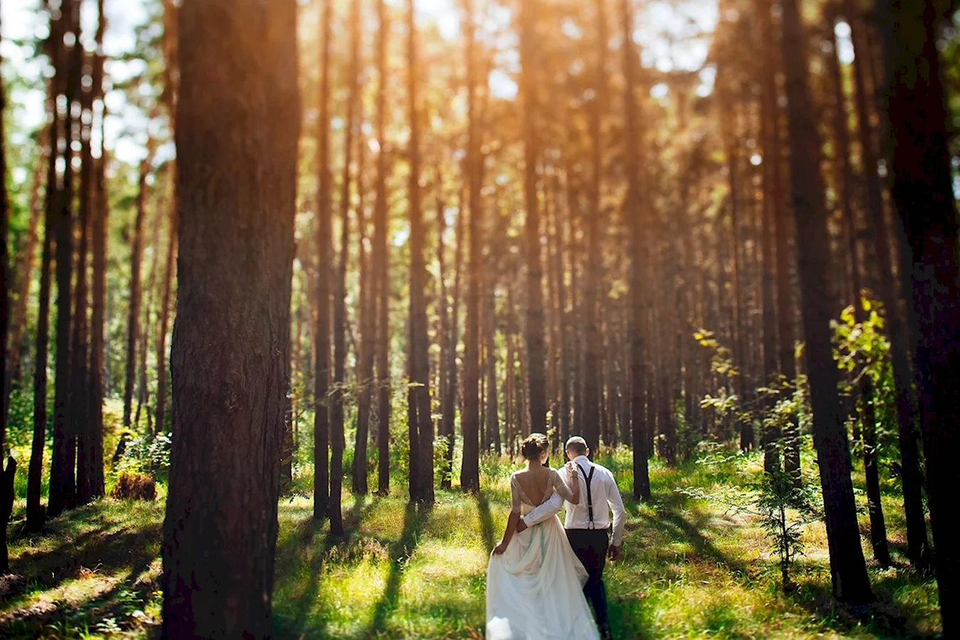 Свадебная фотосессия в Сосновом лесу