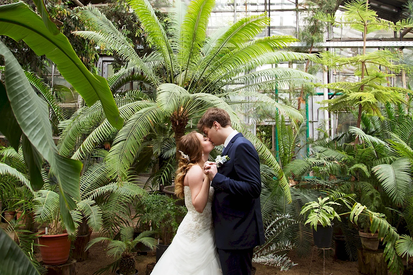 Свадебные фотосессии зимой в оранжереи
