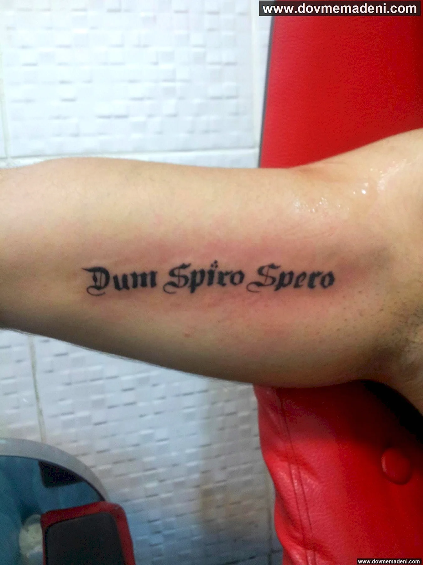 Тату надпись Dum Spiro spero