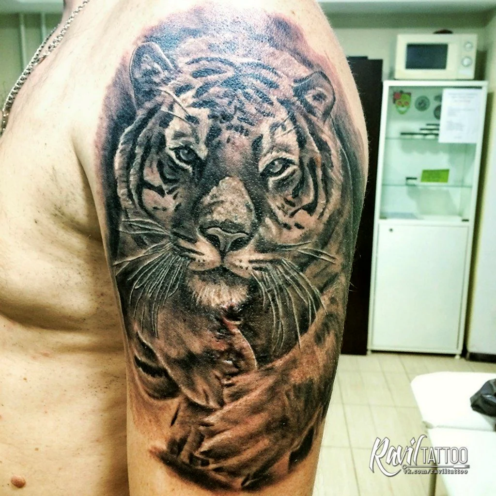 Тату тигр на плече