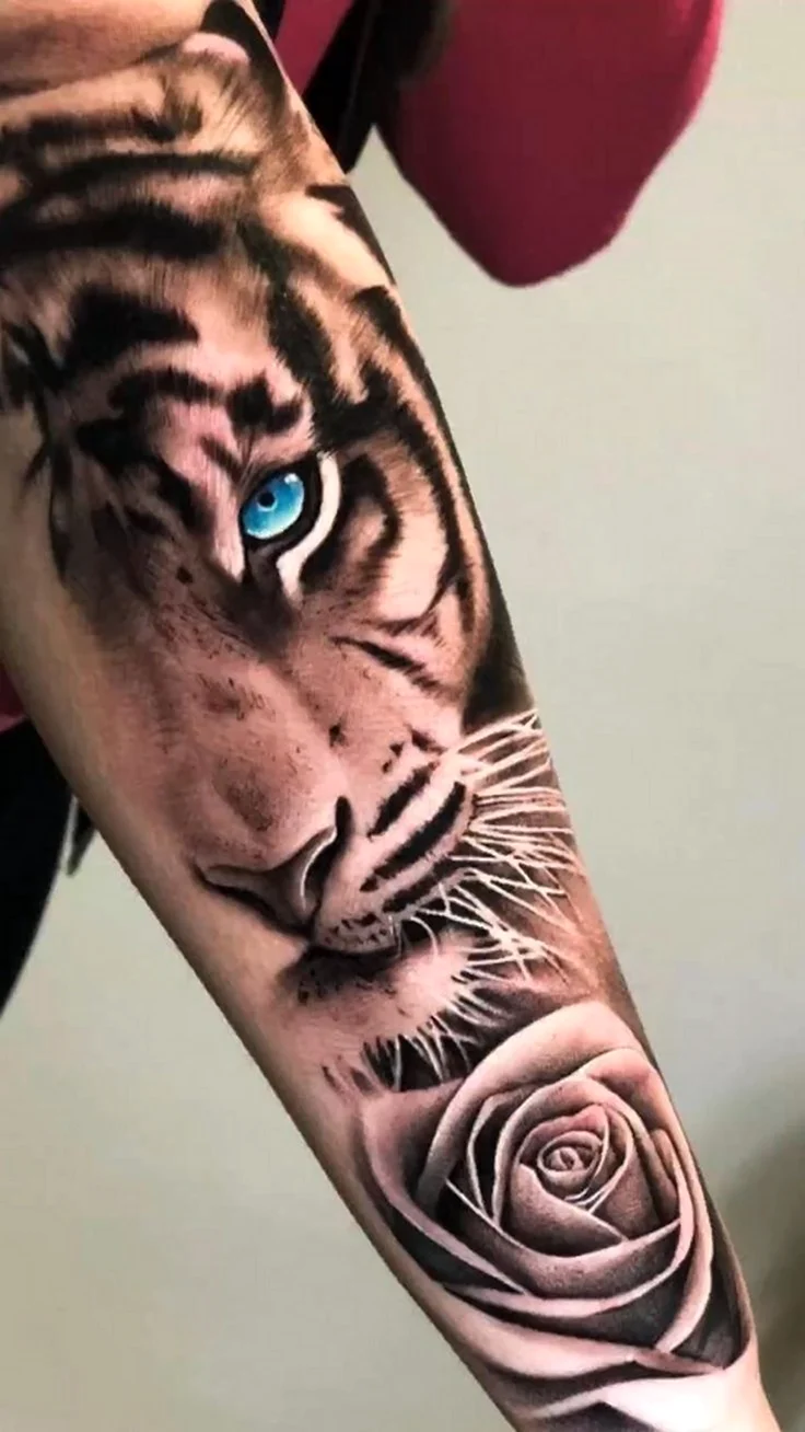 Тату тигр на руке