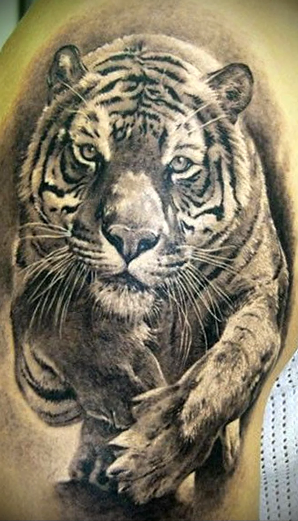 Тату тигр с лапой на плече