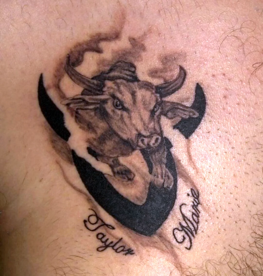Татуировка быка на спине