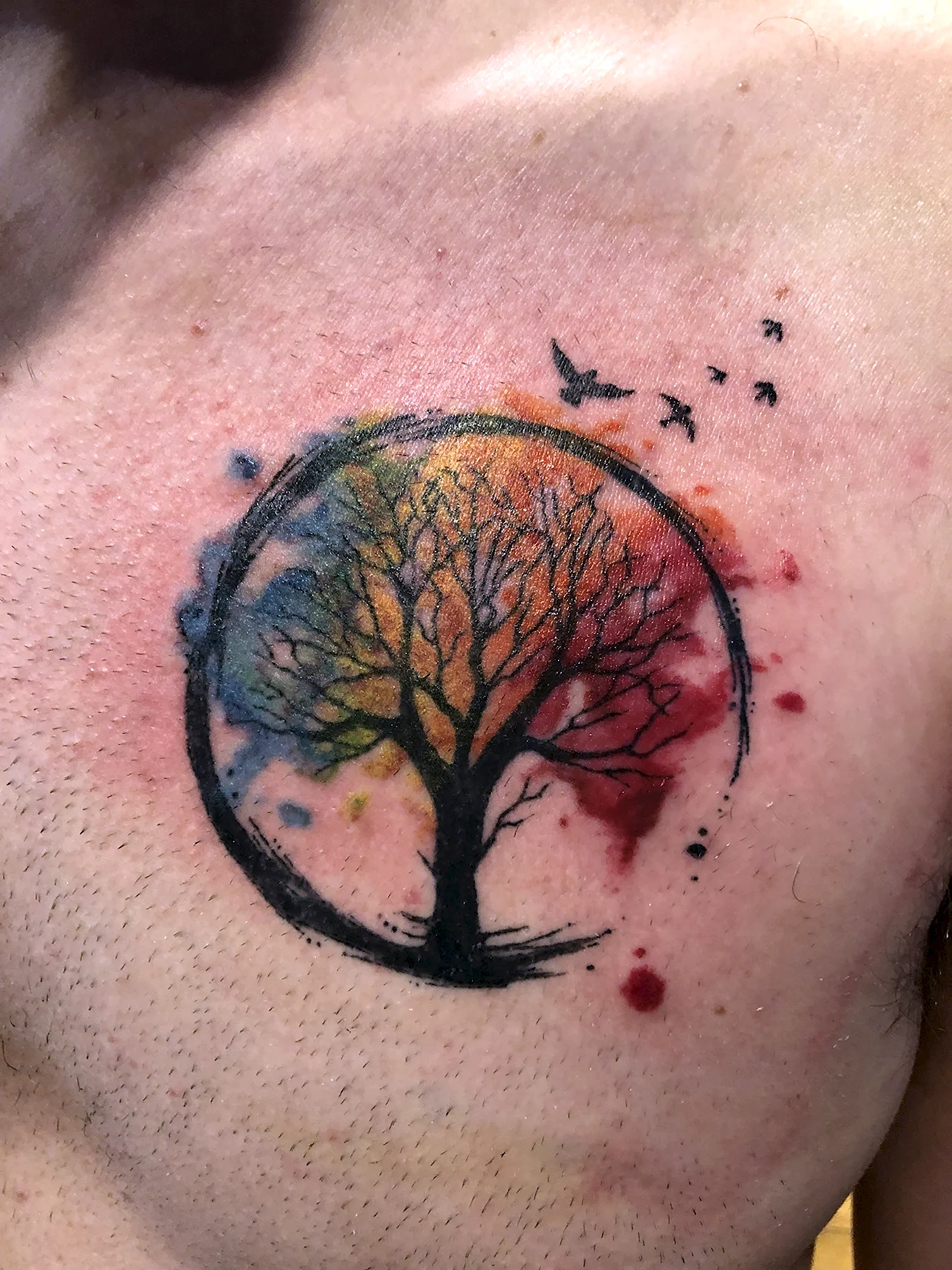Татуировка дерево в круге