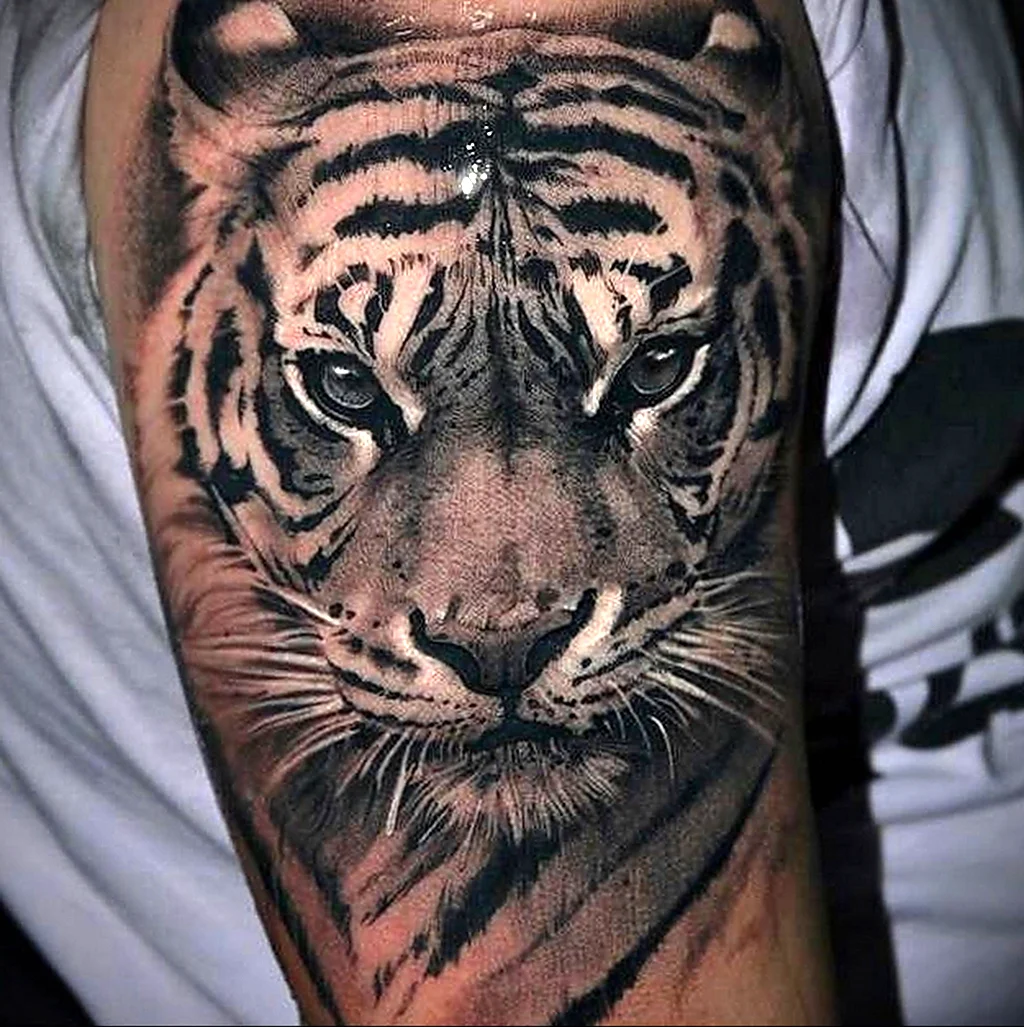 Татуировка голова тигра