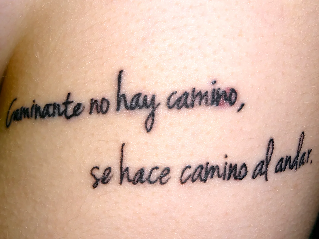 Татуировка любви достойна только мама на латыни
