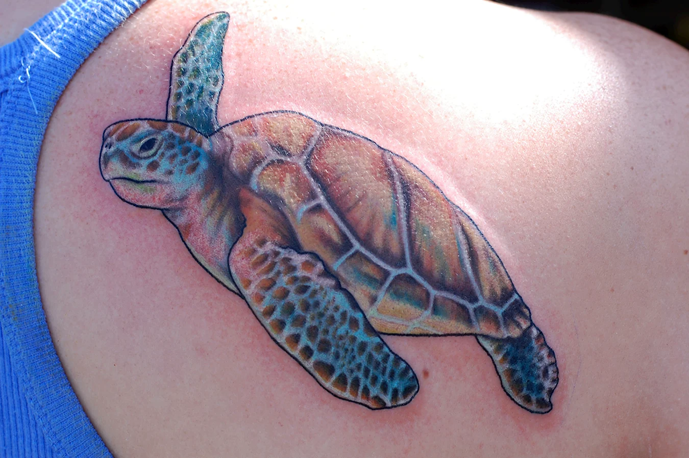Татуировка морская черепаха