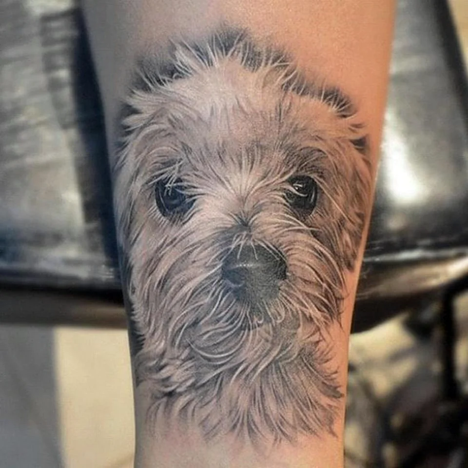 Татуировка собака