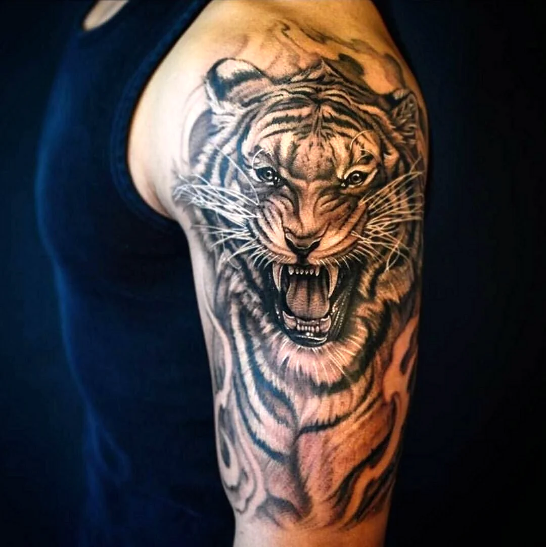 Татуировки оскал тигра