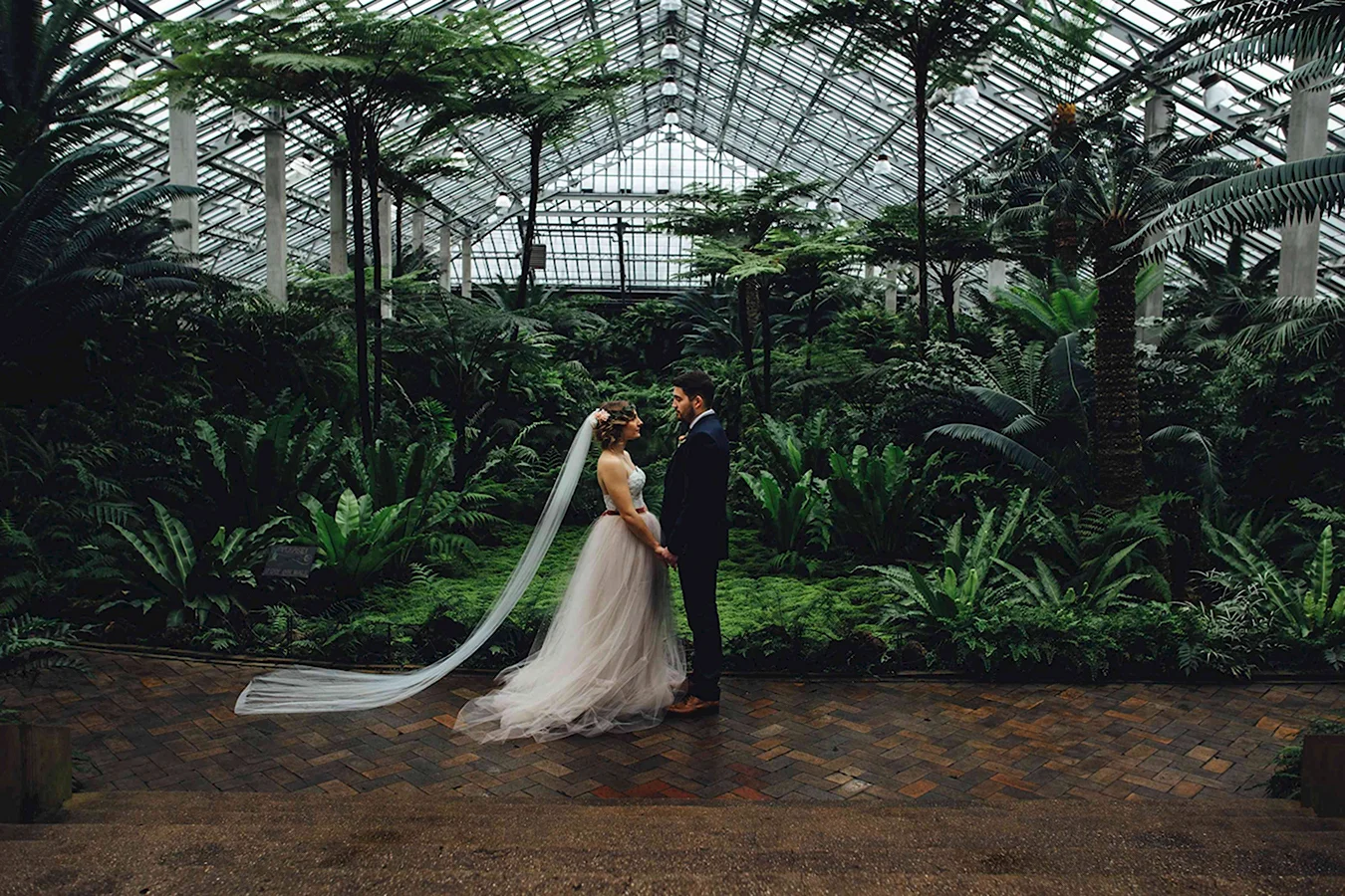 Таврический сад оранжерея свадьба