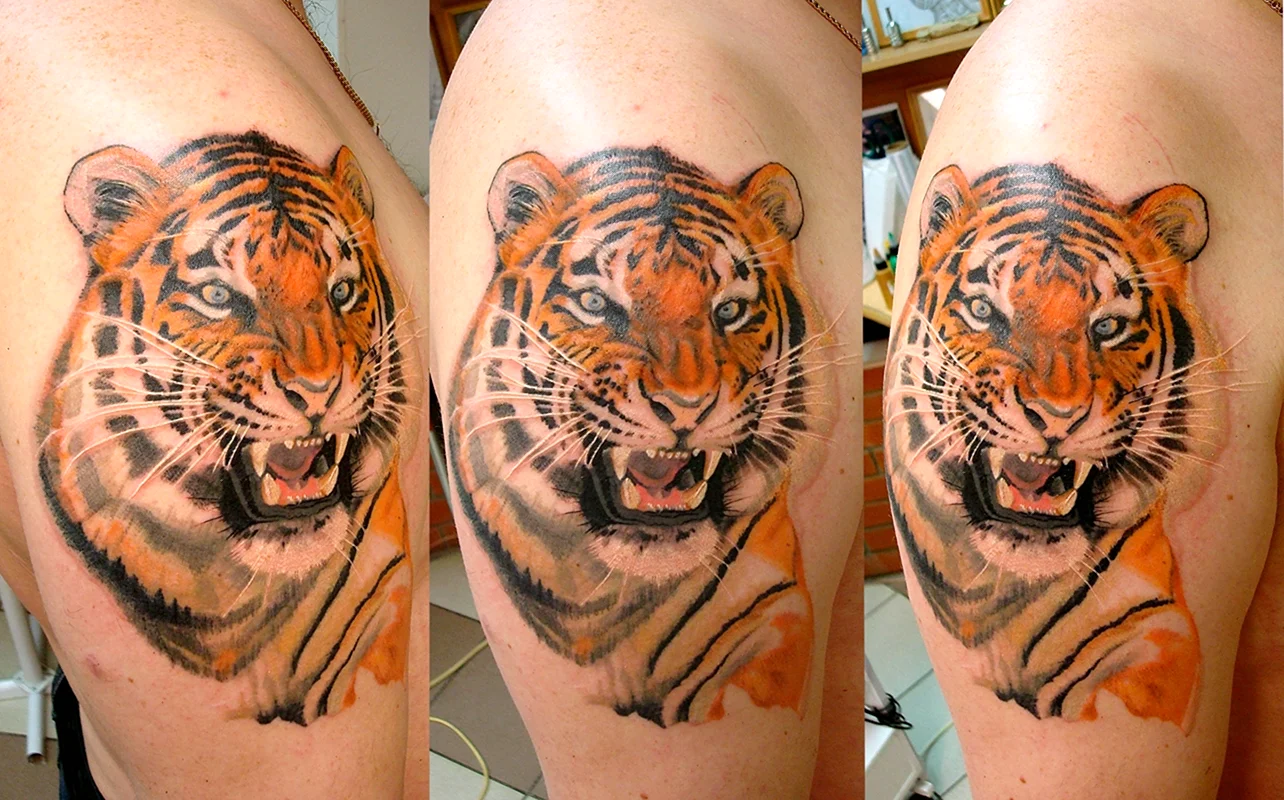 Тигр тату на плече цветной