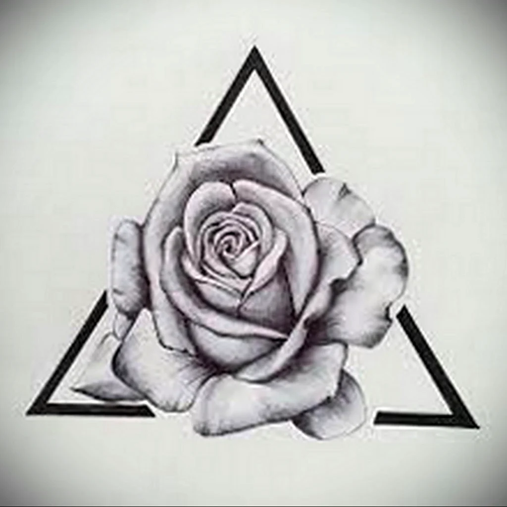 Туту роза в треугольнике