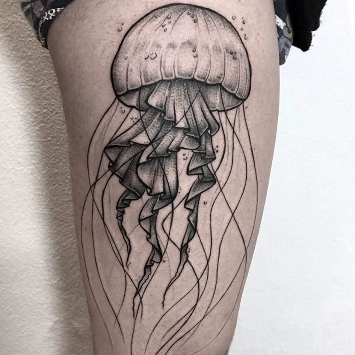 Випшейдинг медуза