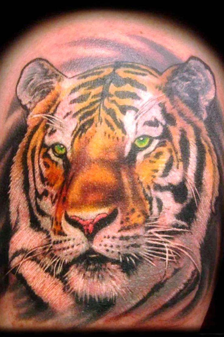 Земляной тигр тату