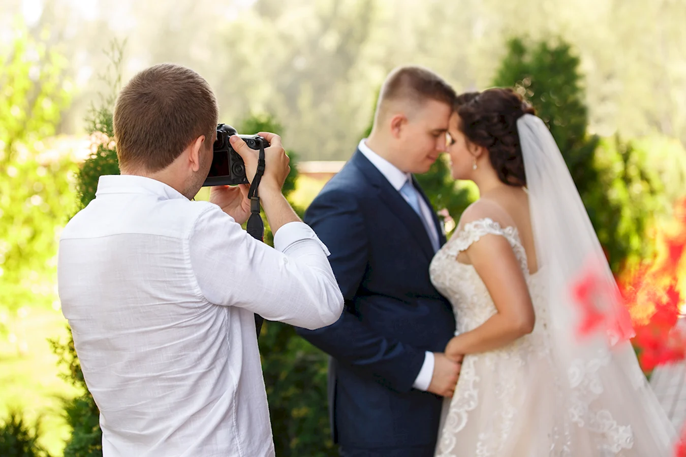 Жених и невеста фотограф